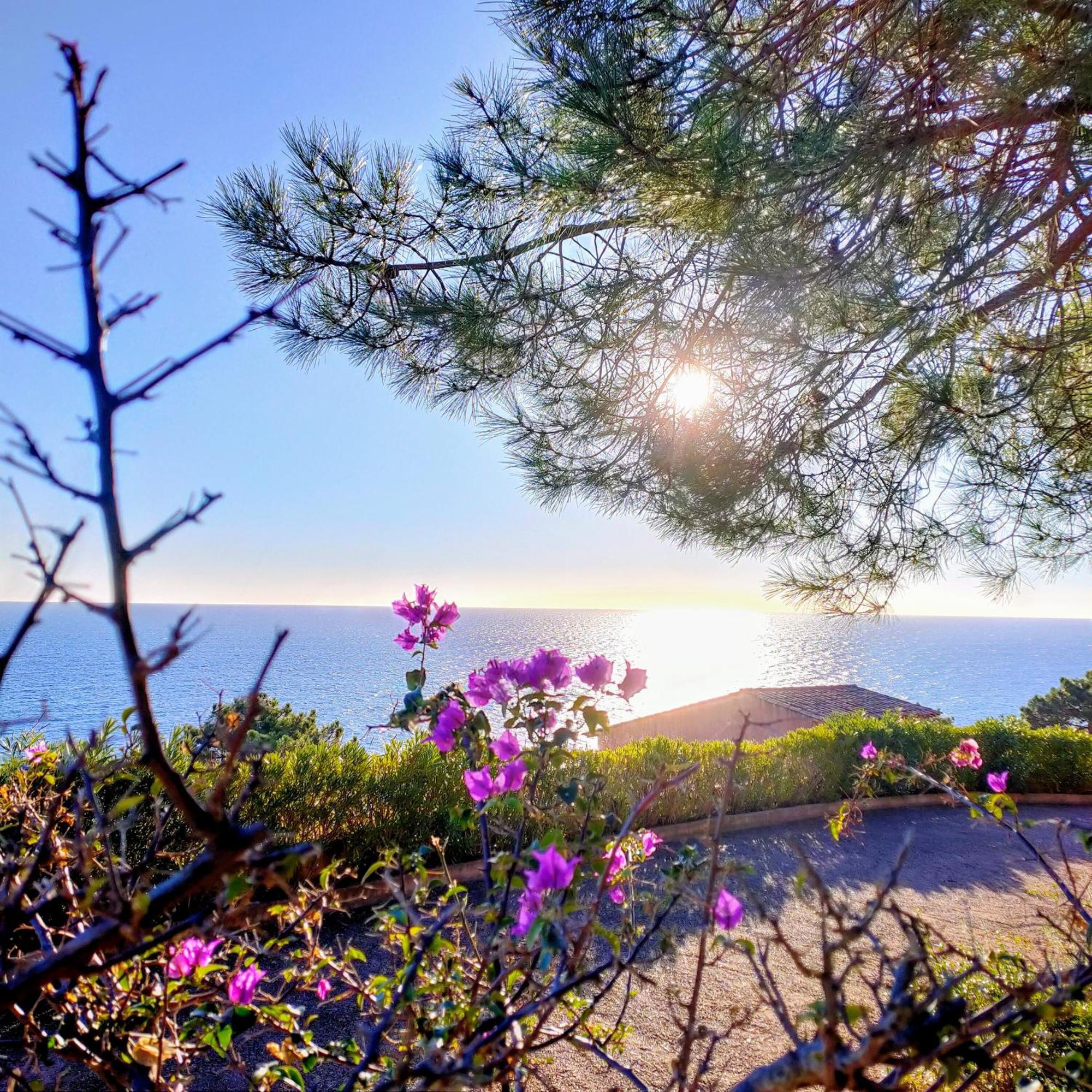 Studio Vue Sur Mer Conca Exterior photo